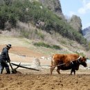 고향참기름집 이미지