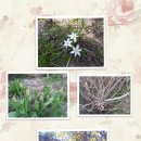(주)달란트