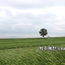 기획예찬