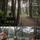 건건교 택시승강장 | 서울 근교 갈만한곳 경기도 드라이브 코스 안산 시흥 프리미엄아울렛 연말모임