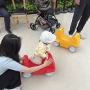 왕궁포레스트 이미지