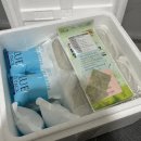 유방8통(인정2차) | 유방암 2기 삼중양성 수술 후 캐싸일라 항암 7차 다음날 패혈증쇼크