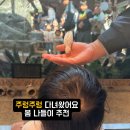 주이레전자 | 영등포 주렁주렁 후기｜아이랑 실내 동물원 데이트 성공✨ 먹이체험 꿀팁까지!