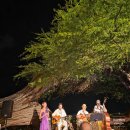 [50세 이상] 우쿨렐레 음악여행 | [하와이 자유여행] 투숙 안 해도 완벽해! 할레쿨라니 훌라 공연 &amp; '하우스 위드아웃 어 키' 완벽 가이드