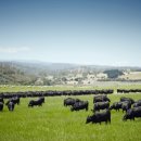 시민식당 2호점 이미지