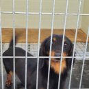 우정파출소 이미지