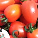 토마토편의점 이미지