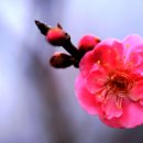 구산4리 이미지