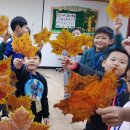 시립배곧이지더원2차어린이집 이미지