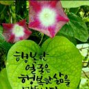 어느멋진날 이미지