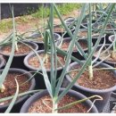 청수농장 이미지