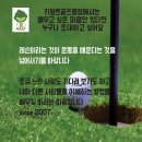 (주)강남 골프클럽