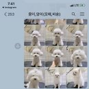 물개스테이 이미지