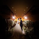 센텀호텔카카오트리 이미지