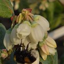 순례농장 이미지