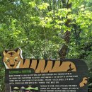 26년 5월 30일 개미마을, 홍지문, 백사실계곡, 인왕산 자락길 이미지