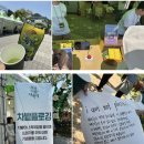 다원미디어 | 2026 보성 다향대축제 뭐할까?｜직접한 체험 위주 ! 이벤트·먹거리까지 상세 실시간 후기
