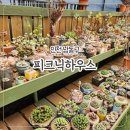 붕붕카마스타 | [인천] 아이랑 가볼 만한 곳 먹이주기 체험 '피크닉하우스'