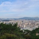 파란행정사 이미지