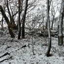 구라산성 이미지