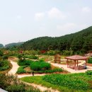 수목원 이미지
