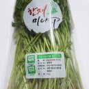 먹방농장 | 청도 한재미나리 한재평양농장 택배 솥뚜껑 삼겹살 먹방! 쯔양 부럽지 않은 제철 홈파티 후기