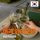발산술집 테라스바 마곡 와인오픈 후기