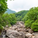 생태민박 이미지