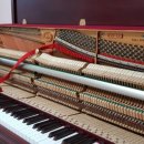 영창주공아파트 101 이미지