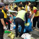 수정환경 이미지