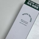 워시화이트(Wash White) | 다이소 거품폼클렌징] 트러블진정 버블클렌징폼 ACNES 아크네스 화이트 티트리 포밍워시 내돈내산 솔직후기