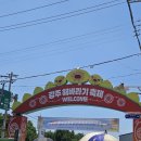 해바라기푸드 | 경남 함안 해바라기축제 강주해바라기축제 방문 후기