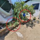 해경주택 이미지