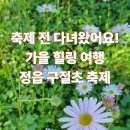 시의회 주차장 안 | 가을 가족여행지 추천💐 정읍 구절초 축제 직접 다녀온 후기