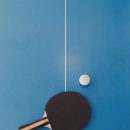 라이프탁구 이미지