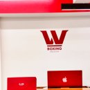 W복싱 이미지