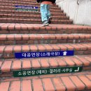 아암대로1437번길 1R | 아이와 본 세종시티 발레단 호두까기인형 발레 후기 남동소래 아트홀(ft.시야/주차팁)