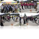 한국남부발전(주)삼척그린파워건설본부 - 716 | 한국남부발전(주)삼척그린파워건설본부