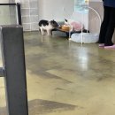 쿤짱 이미지
