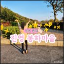 봉하마을 진영생태문화공원 이미지
