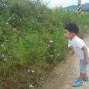 고석정광장 이미지