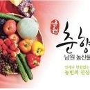 소쿠리농장 이미지