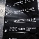 (주)도브투래빗