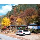 옛집민박 이미지