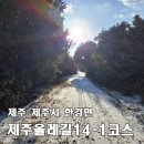 제주 올레길 1-1코스 | [제주올레길 14-1코스 역방향] 오설록 녹차밭 → 저지예술정보화마을 9.3km, 숲길 따라 걷는 한적한 코스