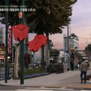 장미의거리7 이미지