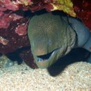 재미나식당 이미지