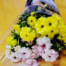 패션의상(중급) 이미지