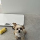 코트니룸 이미지