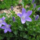 아림농장 이미지